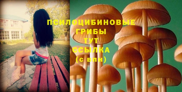 соль ск Алзамай
