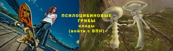 соль ск Алзамай